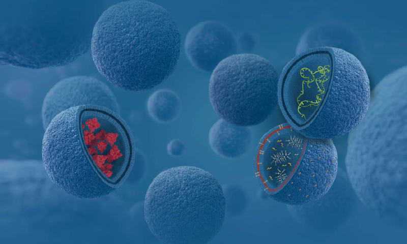 ACM Bio